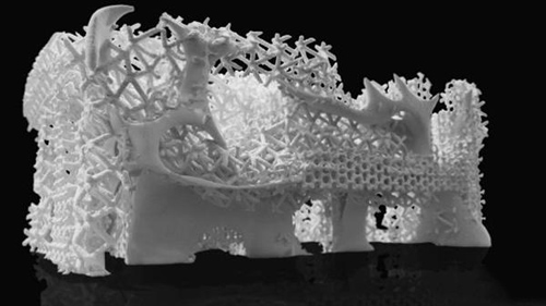 澳洲建筑師要用世界最大3D打印機(jī)拯救珊瑚礁