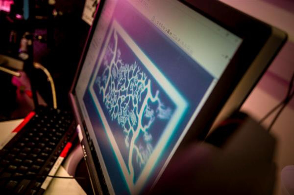 UCSD研究人員自制快速UV生物3D打印機造血管網絡