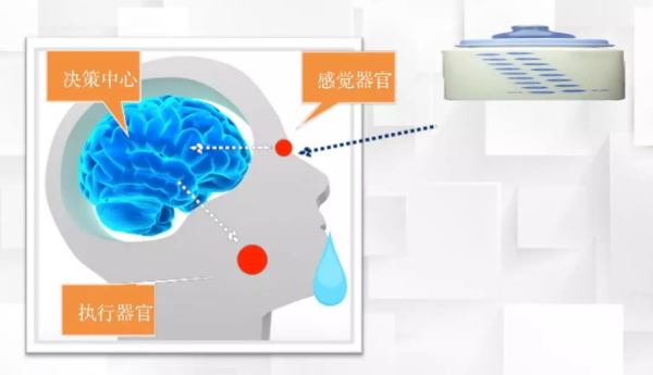 一節(jié)小學(xué)生也能聽懂的專業(yè)課：機(jī)器人和物聯(lián)網(wǎng)是怎么協(xié)同工作的？