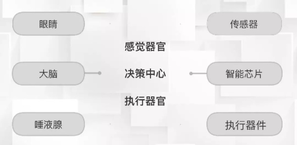 一節(jié)小學(xué)生也能聽懂的專業(yè)課：機(jī)器人和物聯(lián)網(wǎng)是怎么協(xié)同工作的？