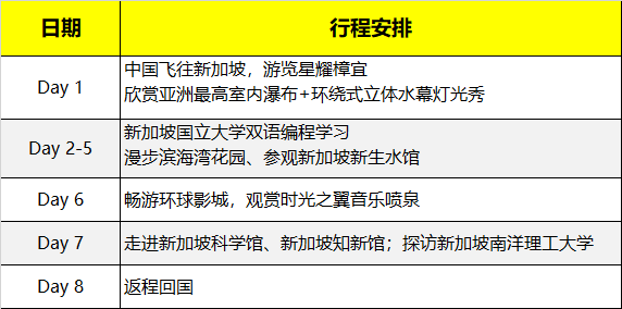 2020寒假新加坡國立大學人工智能科技研學營報名開啟！
